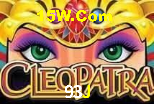 93j.com